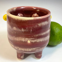 Load image into Gallery viewer, Cariboo Shot - Raspberry Glaze