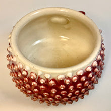 Load image into Gallery viewer, Squirchin! - Raspberry