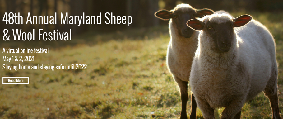 All the fun things @ Maryland Sheep and Wool this weekend!