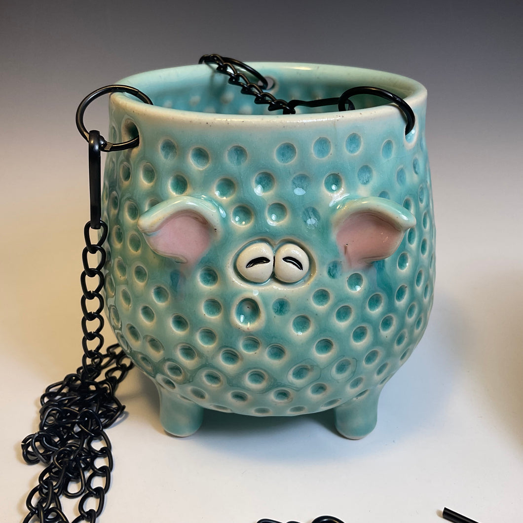 Squirchin Hanging Planter