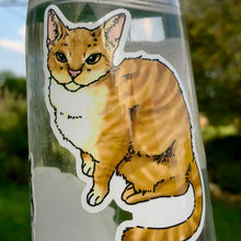 Load image into Gallery viewer, Slim Cat - Orange Tabby
