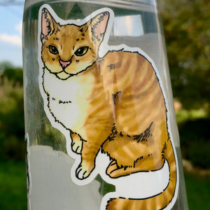 Slim Cat - Orange Tabby