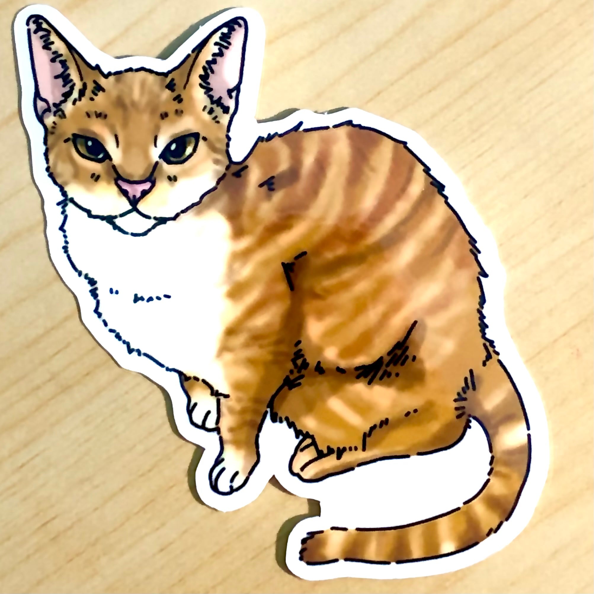 Orange Cat Sticker