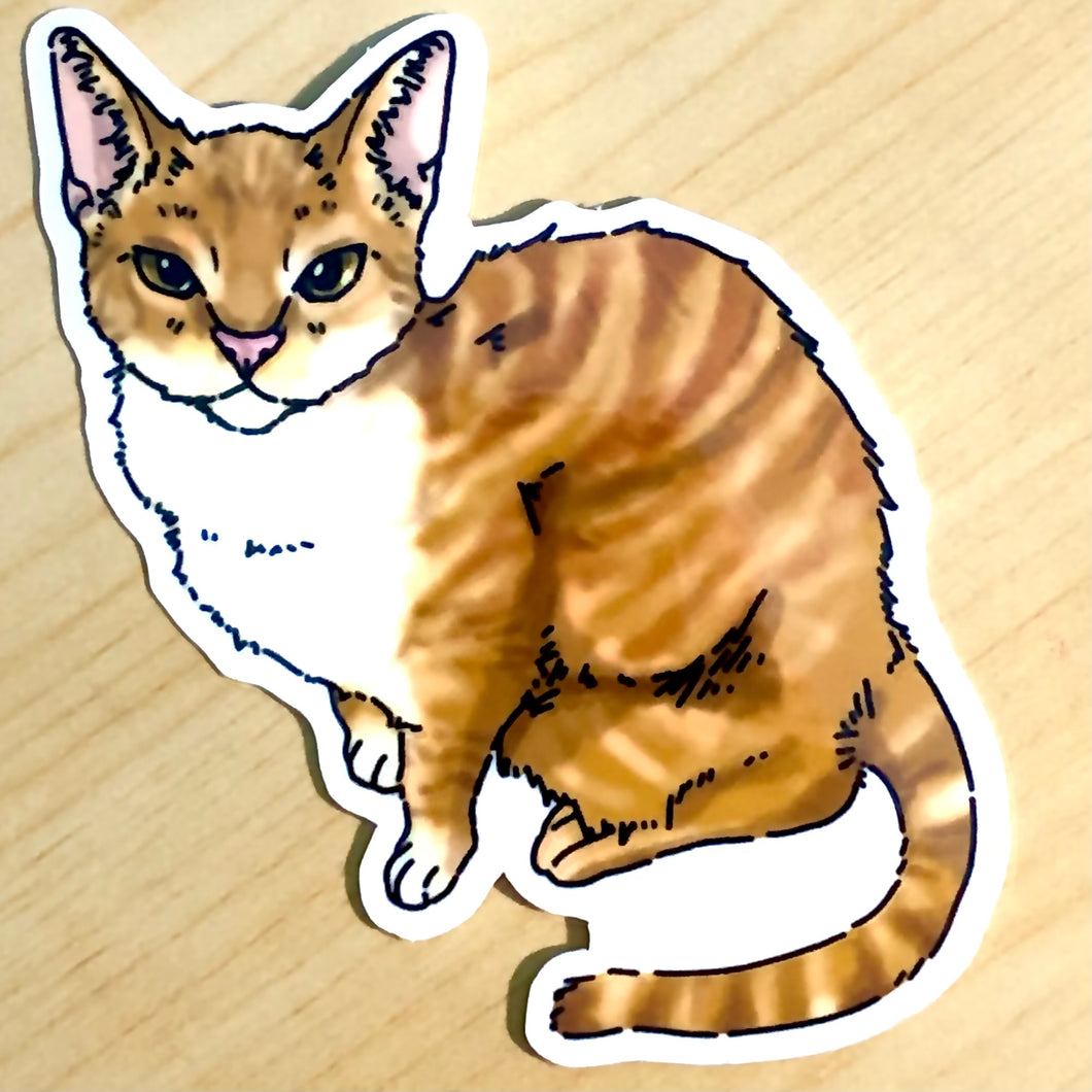 Slim Cat - Orange Tabby