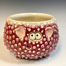 Load image into Gallery viewer, Squirchin! - Raspberry
