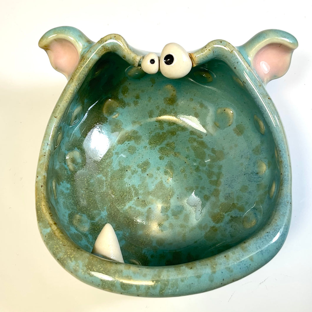 Salty Boy - Seafoam Glaze - Fang